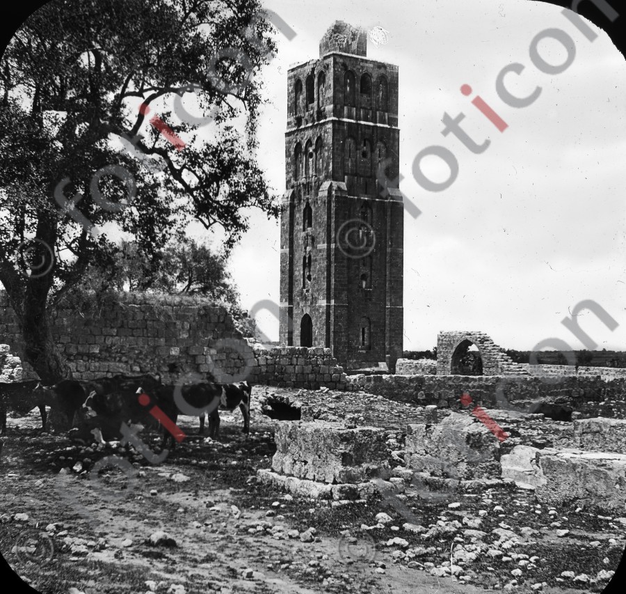 Turm der weißen Moschee in Ramla | Tower of the white mosque in Ramla - Foto foticon-simon-heiligesland-54-004-sw.jpg | foticon.de - Bilddatenbank für Motive aus Geschichte und Kultur